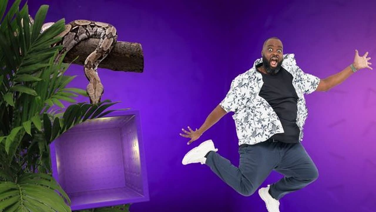The 100 videos that made the whole world laugh