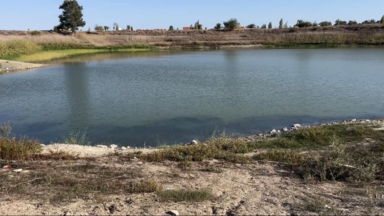 The Lake