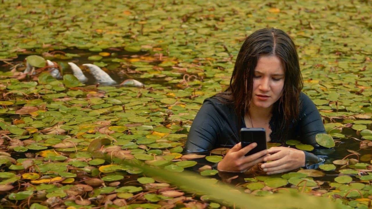 Swamp