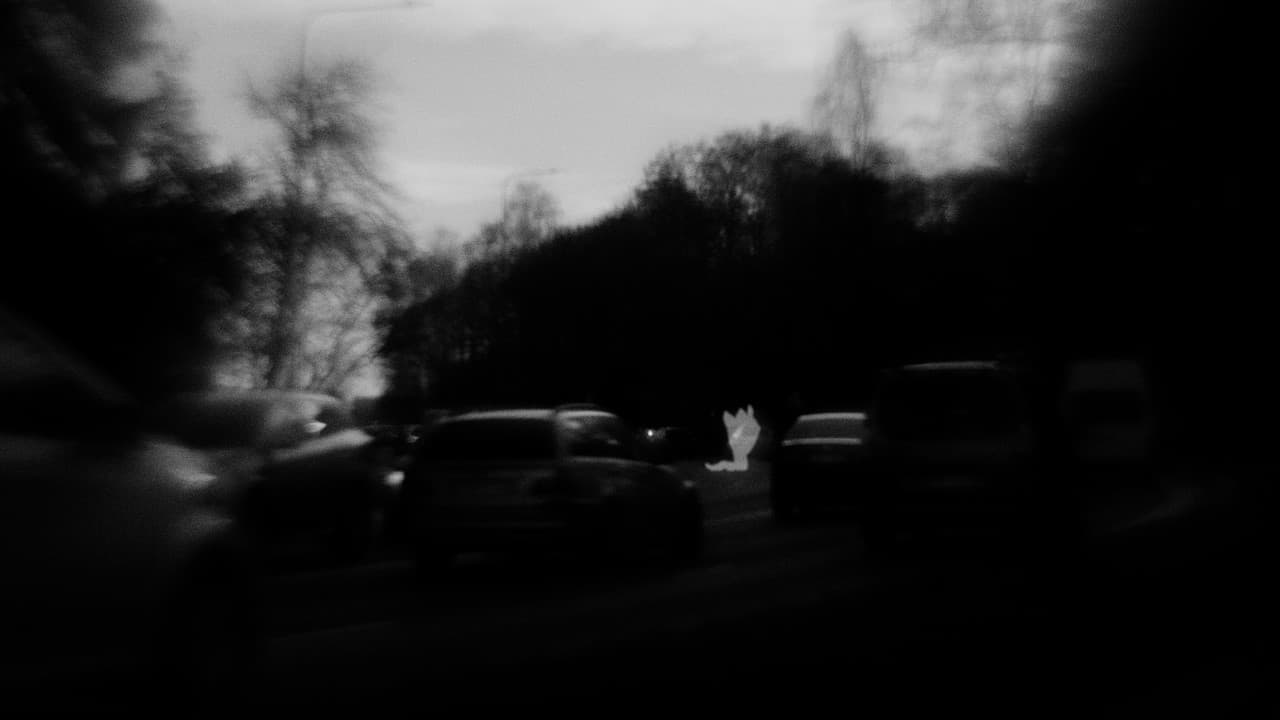 Holland Street