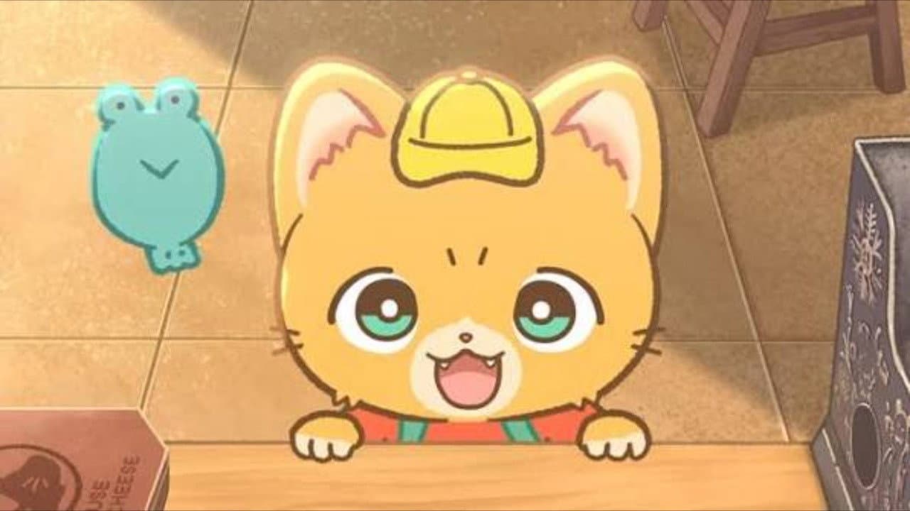 Delivery Kitten Unyan