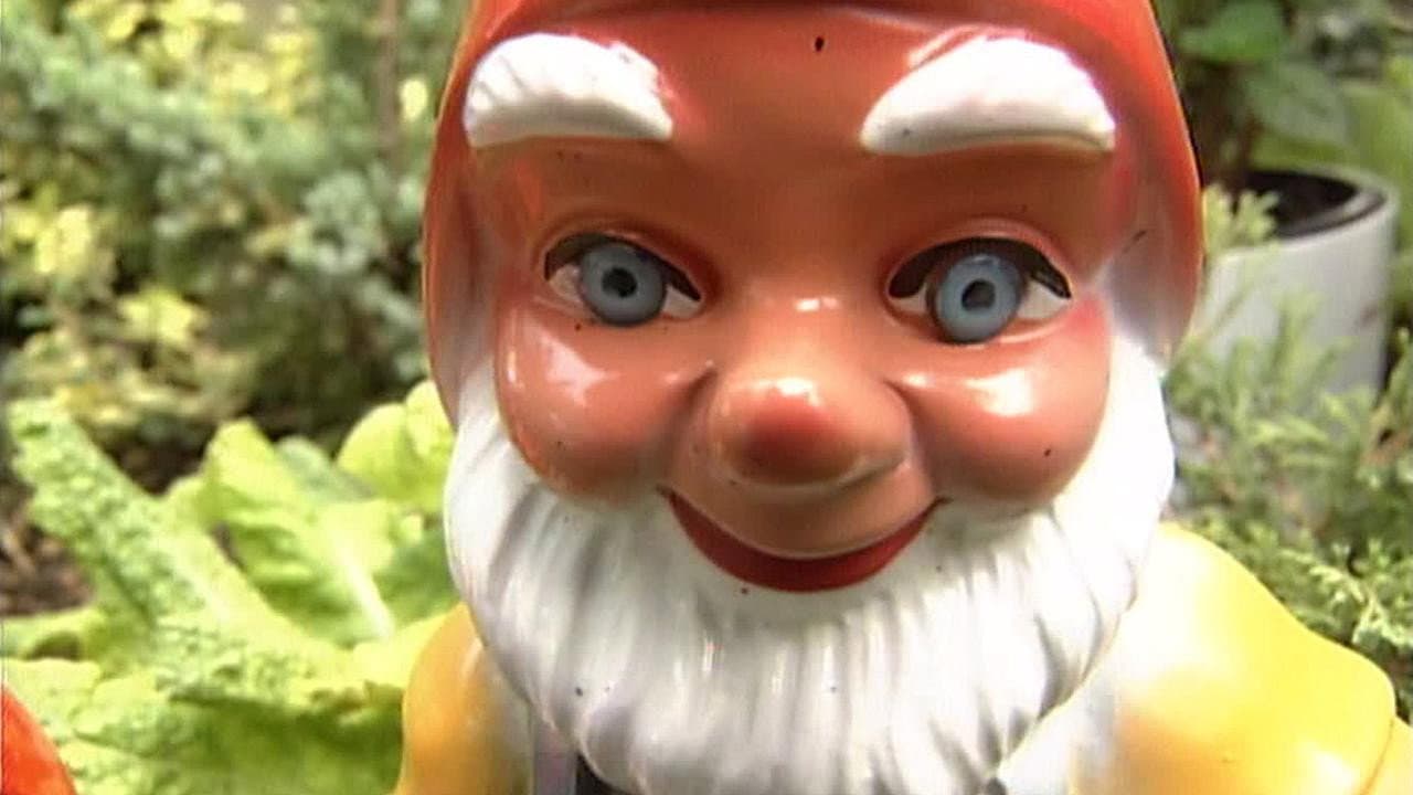 Alltagsgeschichte – Das kleine Glück im Schrebergarten