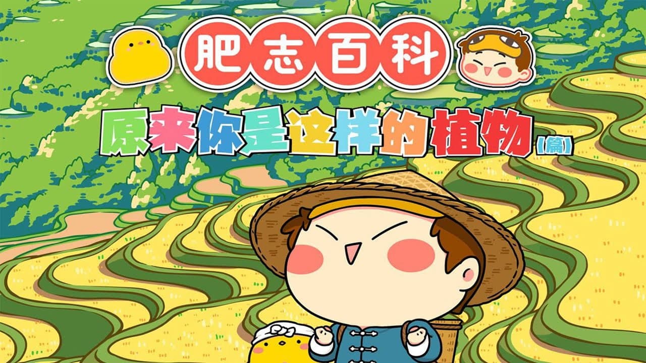 肥志百科