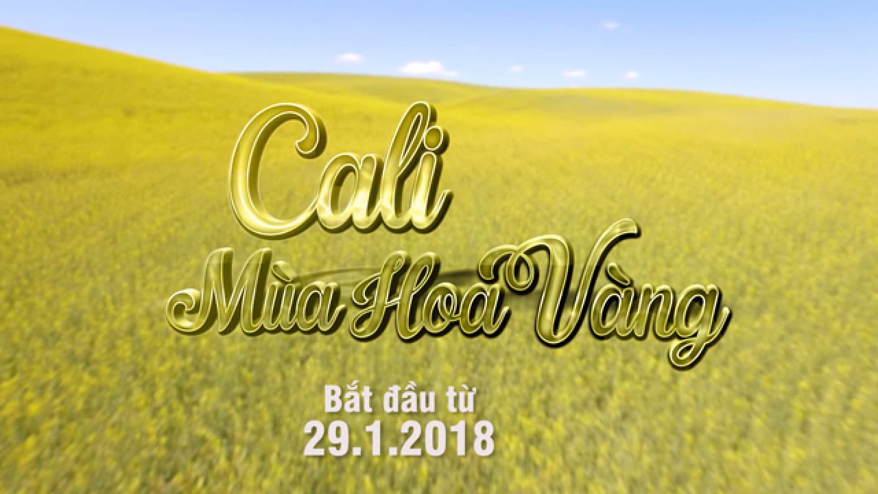Cali mùa hoa vàng