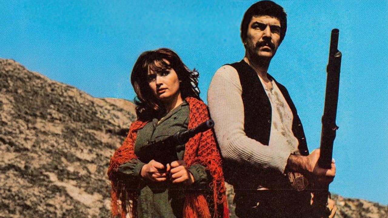 Alevli Yıllar