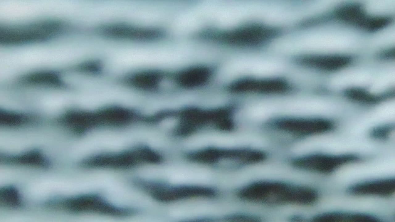 The Wind