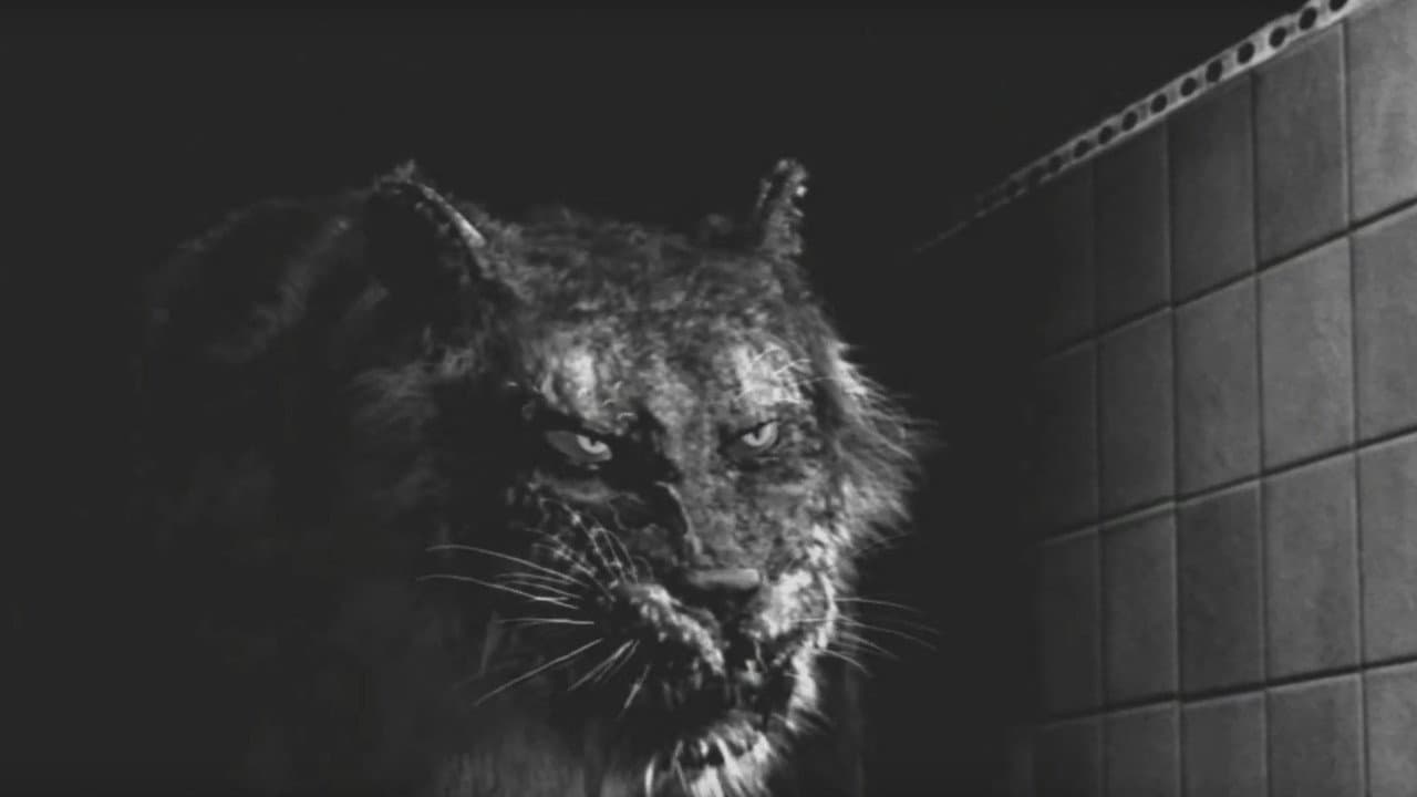 Tyger
