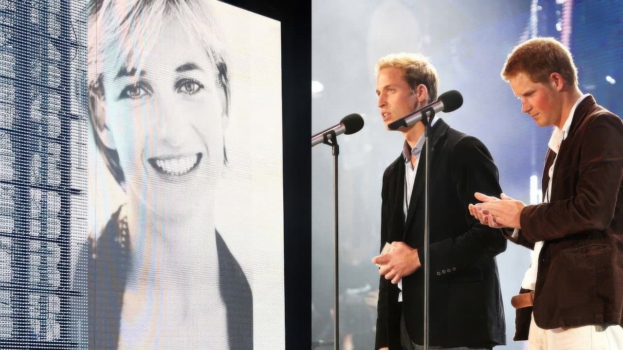 Concert for Diana