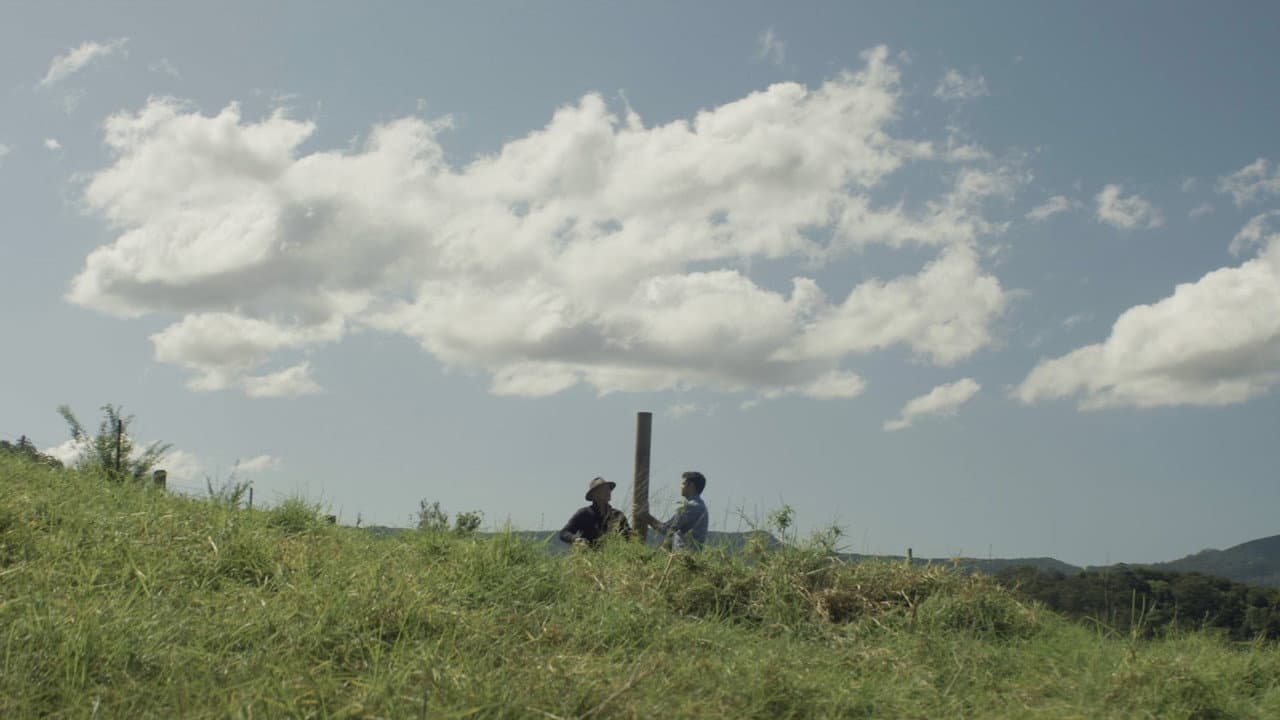 Fences