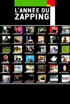 L'année du zapping
