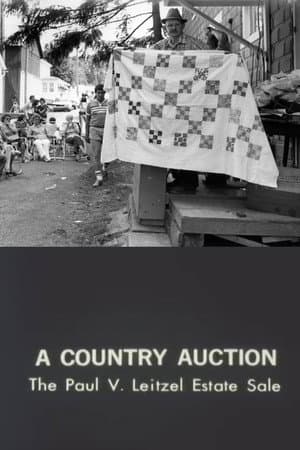 A Country Auction: The Paul V. Lietzel Estate