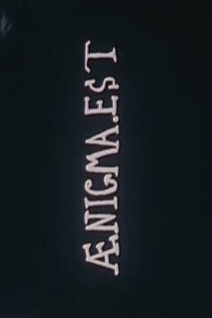 Aenigma Est