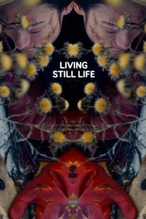 Living Still Life