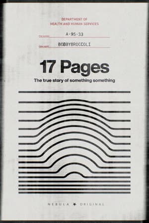 17 Pages