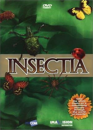 Insectia