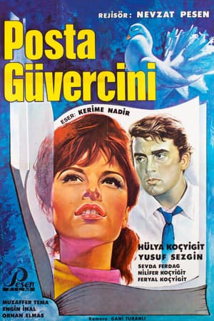 Posta Güvercini