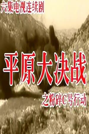粉碎C号行动