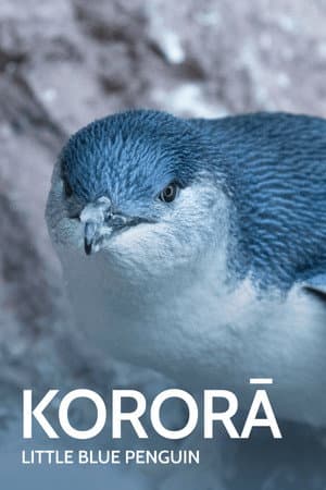 Kororā: Little Blue Penguin