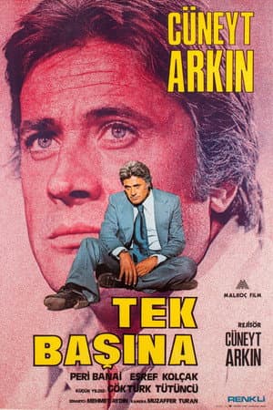 Tek Başına
