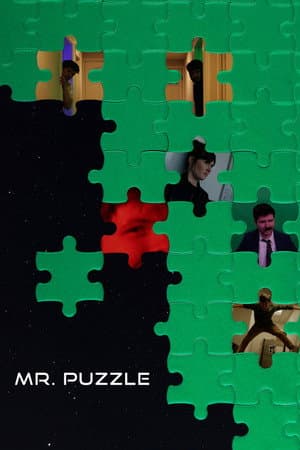 Mr. Puzzle