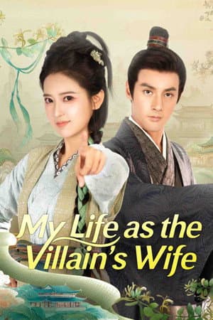 My Life as the Villain's Wife