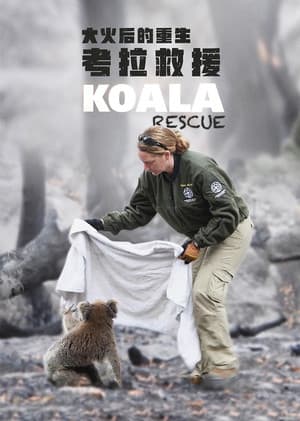 Koala Rescue