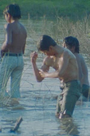 Kinoki Toba