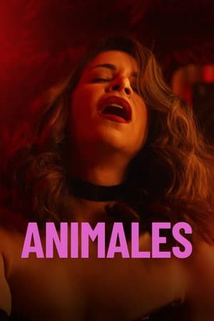 Animals