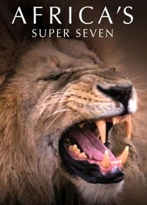 Africa's Super Seven