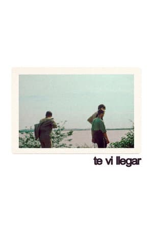 Te Vi Llegar