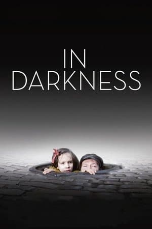 In Darkness