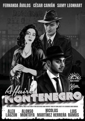 The Montenegro Affair