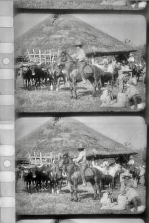 Les Apaches du Far-West