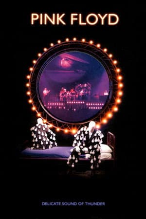 Pink Floyd - Delicate Sound Of Thunder