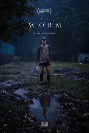 The Worm
