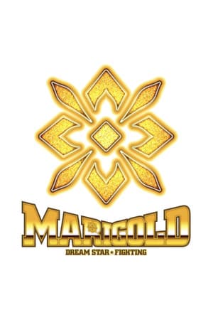 Dream Star★Fighting Marigold