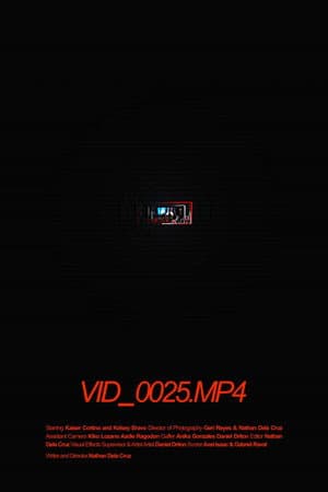 VID_0025.MP4