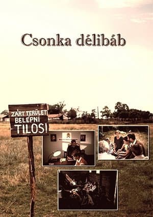 Csonka délibáb