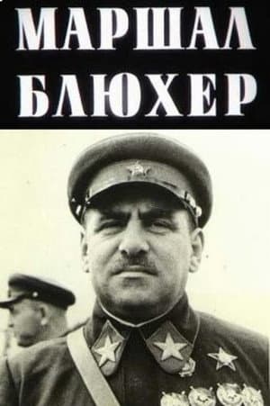 Marshal Blucher: A Portrait Against the Background of an Epoch