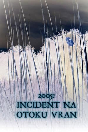 2005: The Vran island incident