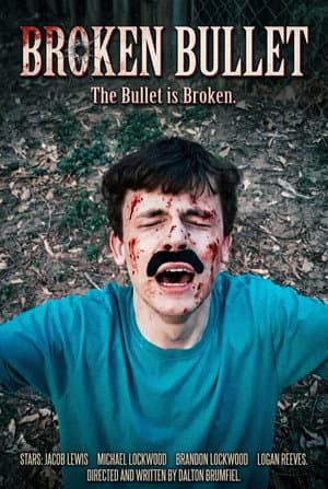 Broken Bullet