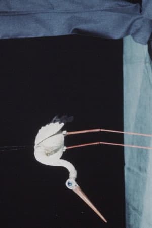 Unima-Festival
