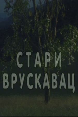Stari vruskavac