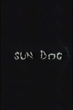 Sun Dog