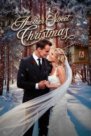 Another Sweet Christmas