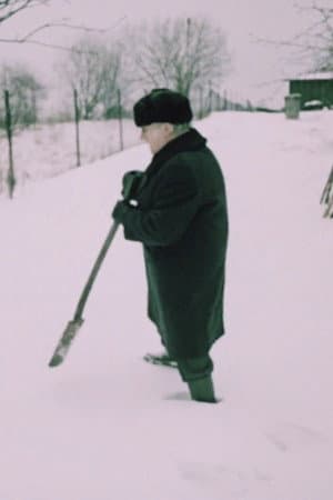 Aedniku talv