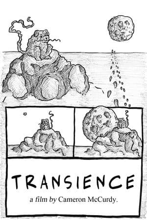Transience