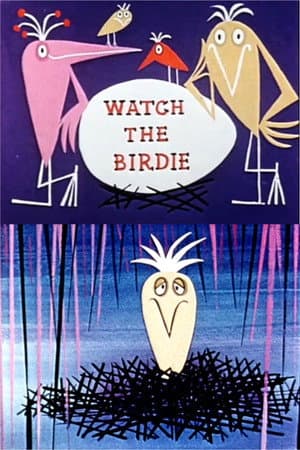 Watch the Birdie