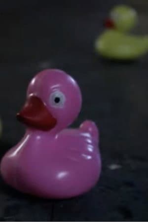 Curmudgeon, The Duckhunter