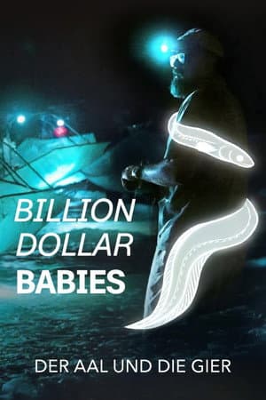 Million Dollar Babies: The Big Business Behind Eel Trafficking